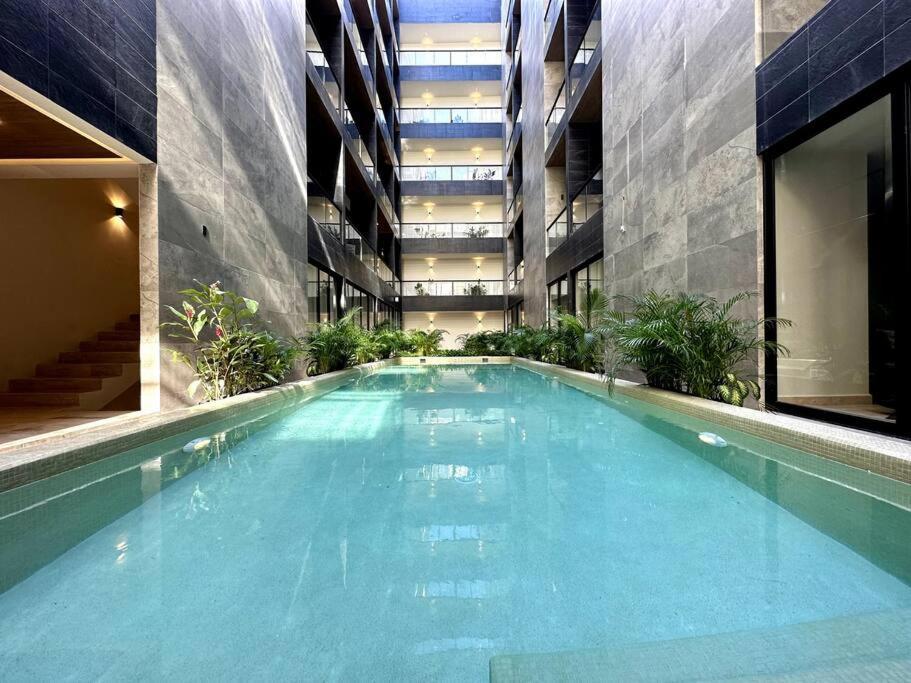Musa Del Carmen 310 - Rooftop Pool & Stunning View By Solmar Apartamento *
