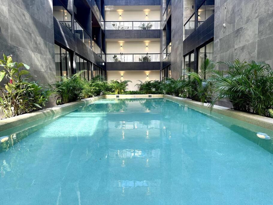 Musa Del Carmen 310 - Rooftop Pool & Stunning View By Solmar *